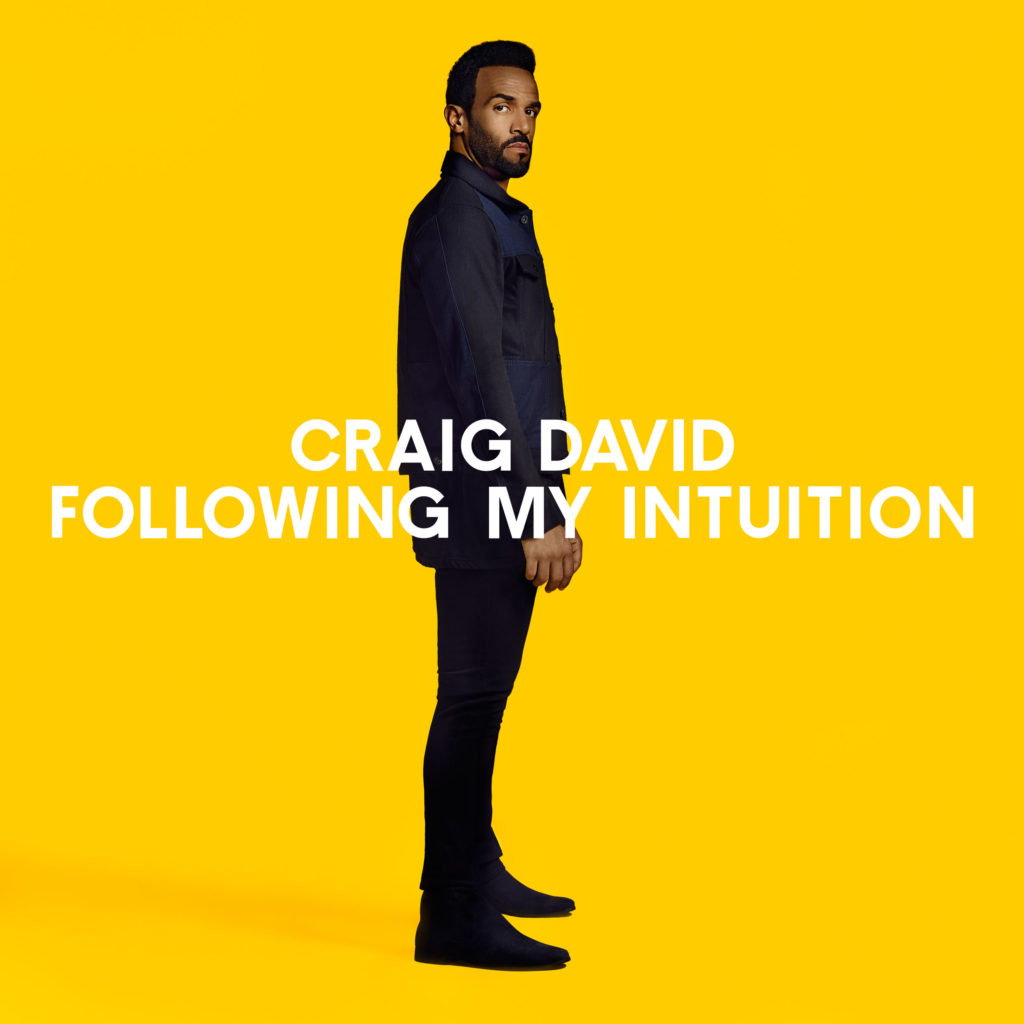 Craig David - Following my Intuition