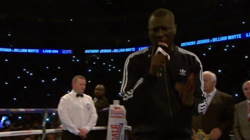 Stormzy Joshua - Whyte
